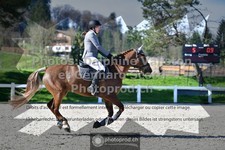 ref. photo 3561237