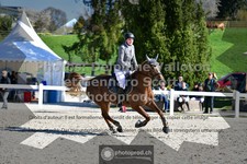 ref. photo 3561239