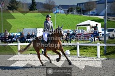 ref. photo 3561242