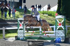 ref. photo 3561243