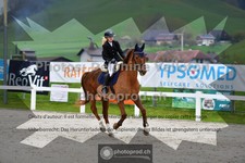 ref. photo 3561256