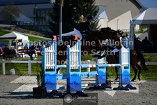 ref. photo 3561277