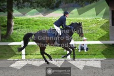 ref. photo 3561301
