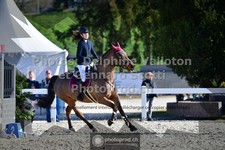 ref. photo 3561305