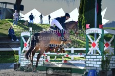 ref. photo 3561307