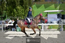 ref. photo 3561313