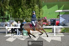 ref. photo 3561316