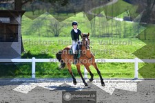 ref. photo 3561319