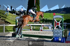 ref. photo 3561331