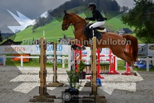 ref. photo 3561337