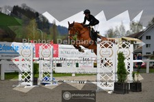 ref. photo 3561354