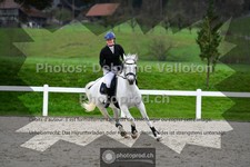 ref. photo 3561375