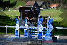 ref. photo 3561384