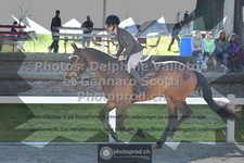 ref. photo 3561385
