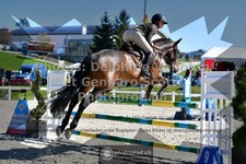ref. photo 3561391