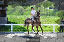 ref. photo 3561392