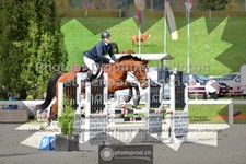 ref. photo 3561413
