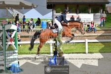 ref. photo 3561414
