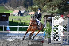 ref. photo 3561423