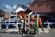 ref. photo 3561428