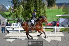 ref. photo 3561434