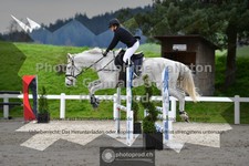 ref. photo 3561447