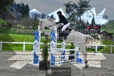 ref. photo 3561450