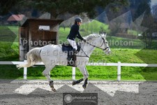 ref. photo 3561457