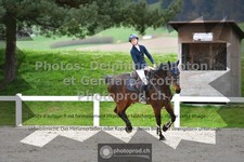 ref. photo 3561460