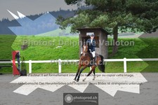 ref. photo 3561476