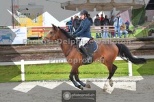 ref. photo 3561482