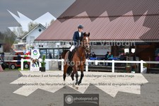 ref. photo 3561484