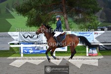 ref. photo 3561488