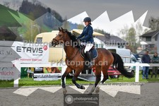 ref. photo 3561494