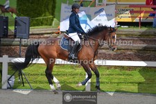 ref. photo 3561496