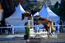 ref. photo 3561500