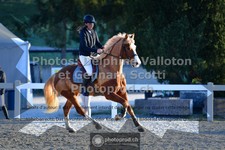 ref. photo 3561504