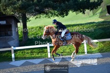 ref. photo 3561510