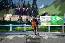 ref. photo 3561512