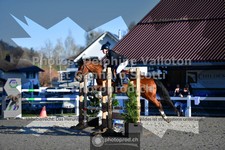 ref. photo 3561519