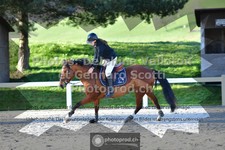 ref. photo 3561521