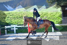 ref. photo 3561522