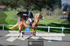 ref. photo 3561523