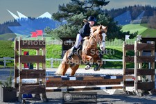 ref. photo 3561526