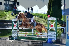 ref. photo 3561528