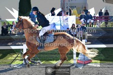 ref. photo 3561529