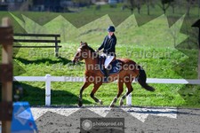 ref. photo 3561530