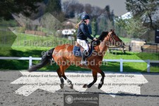 ref. photo 3561531