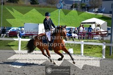 ref. photo 3561536