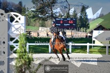 ref. photo 3561539